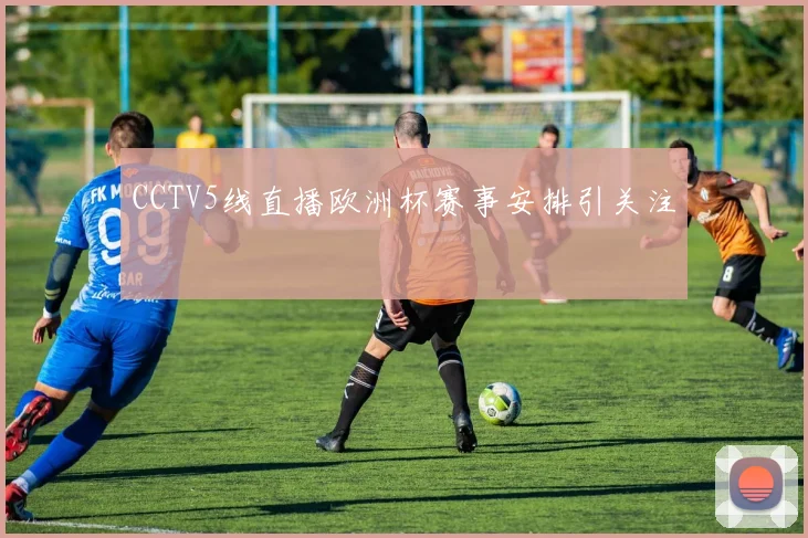 CCTV5线直播欧洲杯赛事安排引关注