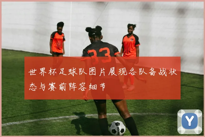 世界杯足球队图片展现各队备战状态与赛前阵容细节