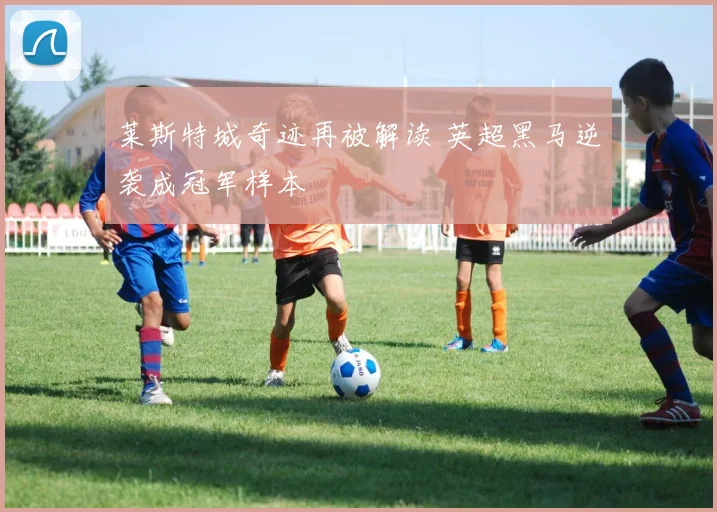 莱斯特城奇迹再被解读 英超黑马逆袭成冠军样本