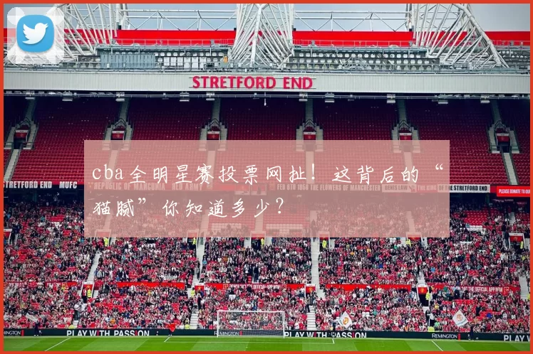 cba全明星赛投票网扯！这背后的“猫腻”你知道多少？