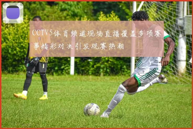 CCTV5体育频道现场直播覆盖多项赛事精彩对决引发观赛热潮