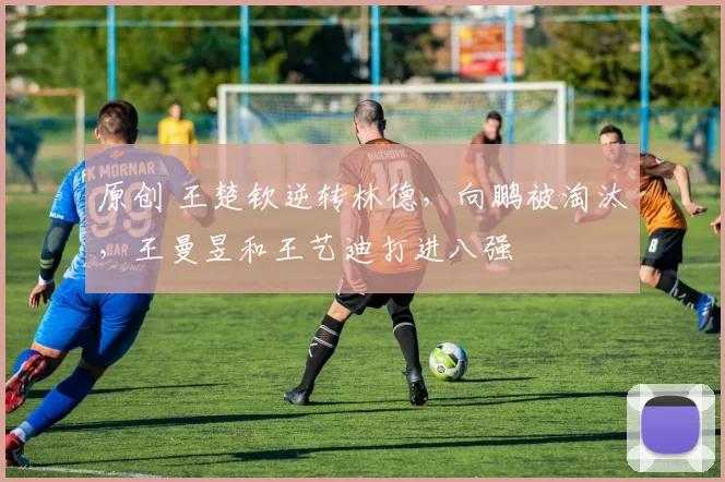 原创 王楚钦逆转林德，向鹏被淘汰，王曼昱和王艺迪打进八强