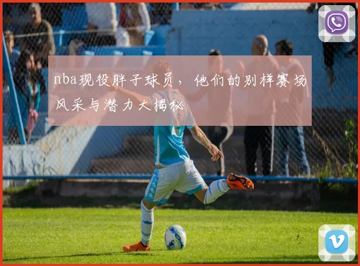 nba现役胖子球员，他们的别样赛场风采与潜力大揭秘